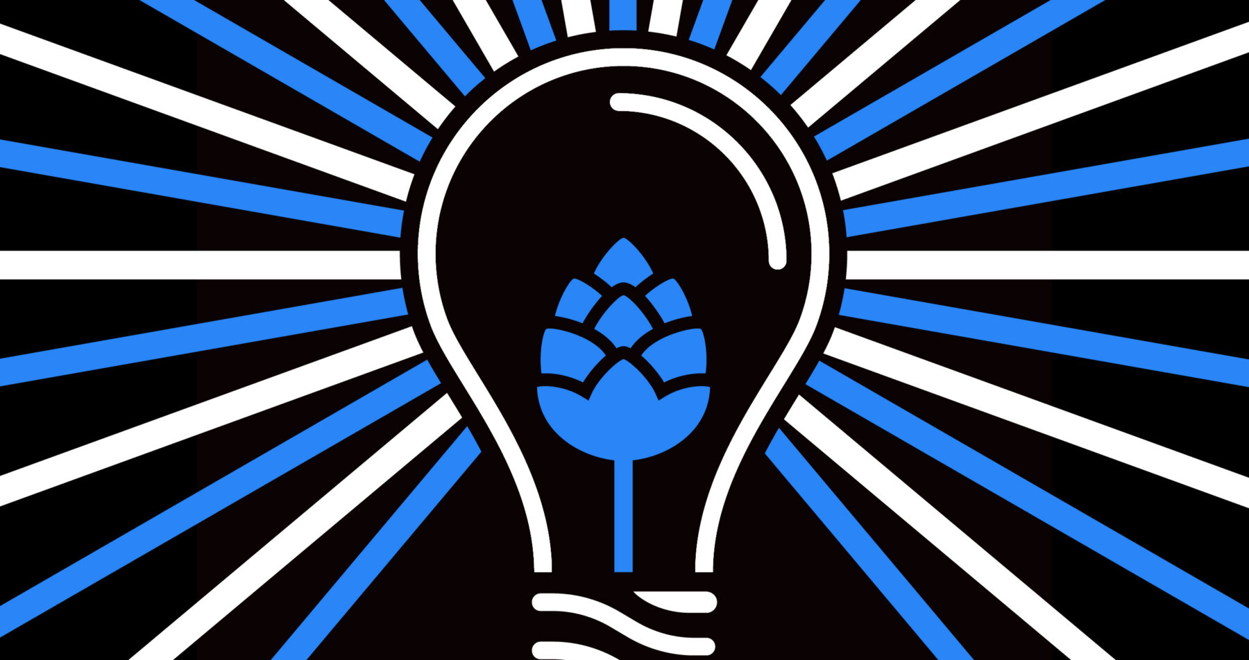 Beer Brand Basics